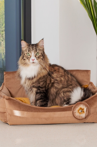 Zdjęcia reklamowe produktów, aranżacje, Snapshot-Studio Rybnik