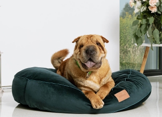 Zdjęcia reklamowe produktów, aranżacje, Snapshot-Studio Rybnik