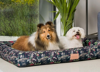 Zdjęcia reklamowe produktów, aranżacje, Snapshot-Studio Rybnik