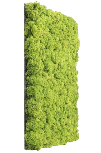 Packshot zdjęcie na białym tle Snapshot Studio Rybnik Katowice